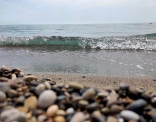 *Пансионат "Бургас" Сочи