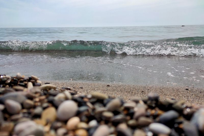 *Пансионат "Бургас" Сочи